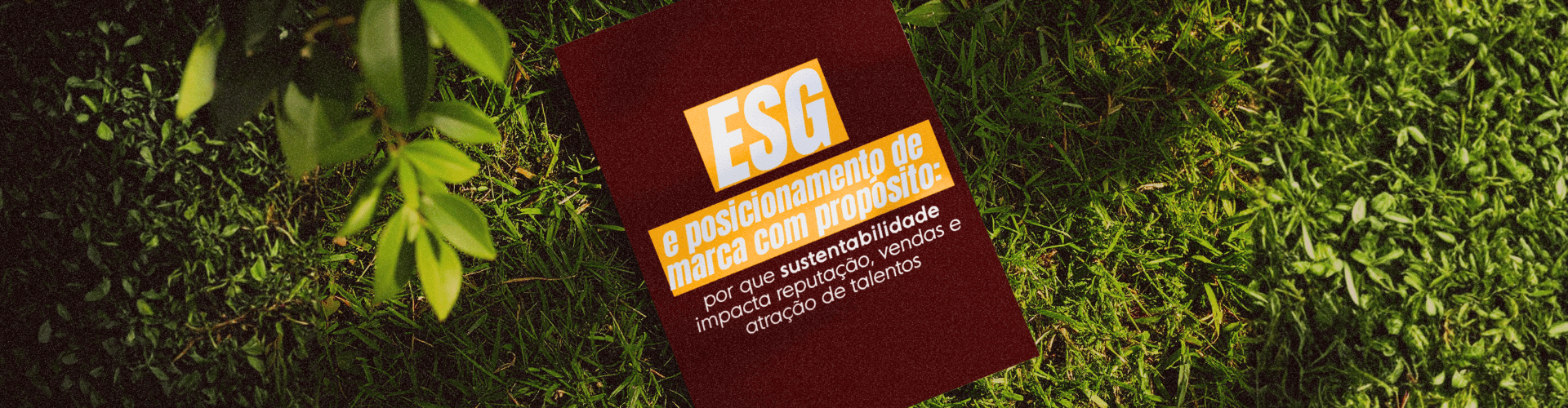 Entenda como o ESG fortalece o posicionamento de marca, impacta a reputação, aumenta vendas e ajuda a atrair e reter talentos.